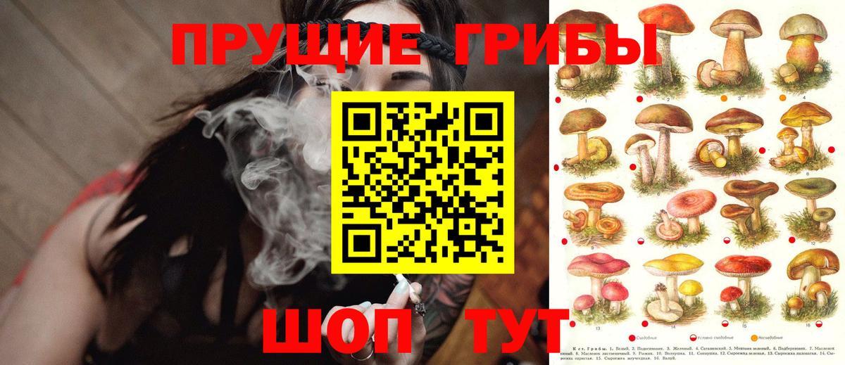 Тавда  Псилоцибиновые грибы мухоморы  Галлюциногенные грибы Cubensis  Вход с VPN 
